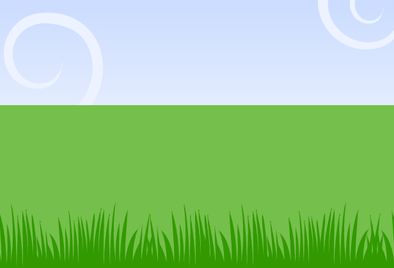 Anwalzen des verlegten Rollrasens