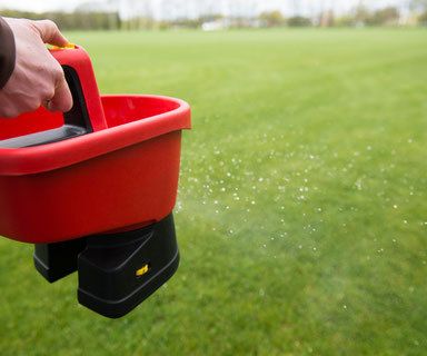 Regelmäßige Düngung